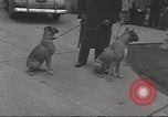 Image of kidnapping of Suzanne Degnan Chicago Illinois USA, 1945, second 31 stock footage video 65675063399