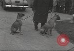 Image of kidnapping of Suzanne Degnan Chicago Illinois USA, 1945, second 32 stock footage video 65675063399