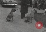 Image of kidnapping of Suzanne Degnan Chicago Illinois USA, 1945, second 33 stock footage video 65675063399