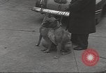 Image of kidnapping of Suzanne Degnan Chicago Illinois USA, 1945, second 34 stock footage video 65675063399