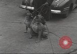 Image of kidnapping of Suzanne Degnan Chicago Illinois USA, 1945, second 35 stock footage video 65675063399
