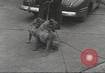 Image of kidnapping of Suzanne Degnan Chicago Illinois USA, 1945, second 36 stock footage video 65675063399
