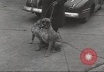 Image of kidnapping of Suzanne Degnan Chicago Illinois USA, 1945, second 37 stock footage video 65675063399
