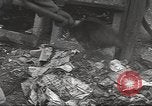 Image of kidnapping of Suzanne Degnan Chicago Illinois USA, 1945, second 52 stock footage video 65675063399