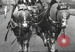 Image of road network Stuttgart Germany, 1936, second 47 stock footage video 65675063404