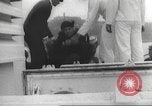 Immagine di I rifugiati sono portati a un americano di nave della marina americana di evacuazione Europa, 1936, secondo 34 filmato di repertorio 65675063410