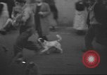 Image of search for survivors after Spanish Civil War bomb attack Spain, 1936, second 42 stock footage video 65675063415
