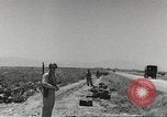 Image of King George VI Tunisia North Africa, 1944, second 39 stock footage video 65675063427
