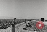 Image of King George VI Tunisia North Africa, 1944, second 40 stock footage video 65675063427