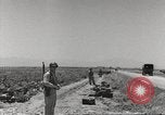 Image of King George VI Tunisia North Africa, 1944, second 41 stock footage video 65675063427