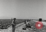 Image of King George VI Tunisia North Africa, 1944, second 42 stock footage video 65675063427