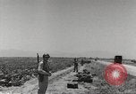 Image of King George VI Tunisia North Africa, 1944, second 43 stock footage video 65675063427