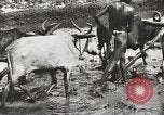 Image of Indian troops India, 1942, second 25 stock footage video 65675063439