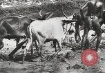 Image of Indian troops India, 1942, second 26 stock footage video 65675063439