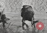 Image of Indian troops India, 1942, second 32 stock footage video 65675063439