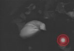 Image of Russian war veteran emigres at party Paris France, 1937, second 50 stock footage video 65675063451