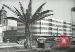 Immagine di Il traffico su strada Città del Messico MESSICO, 1944, secondo 46 filmato di repertorio 65675063455