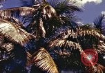 Image of Soldier standing guard at sandbagged post Honolulu Hawaii USA, 1942, second 3 stock footage video 65675063477