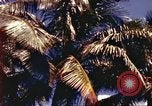 Image of Soldier standing guard at sandbagged post Honolulu Hawaii USA, 1942, second 4 stock footage video 65675063477
