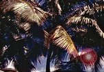 Image of Soldier standing guard at sandbagged post Honolulu Hawaii USA, 1942, second 5 stock footage video 65675063477