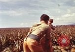Image of Soldier standing guard at sandbagged post Honolulu Hawaii USA, 1942, second 26 stock footage video 65675063477
