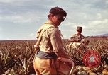 Image of Soldier standing guard at sandbagged post Honolulu Hawaii USA, 1942, second 28 stock footage video 65675063477