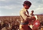 Image of Soldier standing guard at sandbagged post Honolulu Hawaii USA, 1942, second 29 stock footage video 65675063477