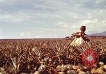 Image of Soldier standing guard at sandbagged post Honolulu Hawaii USA, 1942, second 32 stock footage video 65675063477