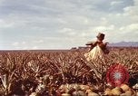 Image of Soldier standing guard at sandbagged post Honolulu Hawaii USA, 1942, second 37 stock footage video 65675063477