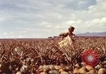 Image of Soldier standing guard at sandbagged post Honolulu Hawaii USA, 1942, second 38 stock footage video 65675063477