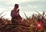 Image of Soldier standing guard at sandbagged post Honolulu Hawaii USA, 1942, second 47 stock footage video 65675063477