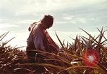 Image of Soldier standing guard at sandbagged post Honolulu Hawaii USA, 1942, second 49 stock footage video 65675063477
