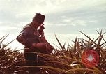 Image of Soldier standing guard at sandbagged post Honolulu Hawaii USA, 1942, second 50 stock footage video 65675063477
