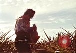 Image of Soldier standing guard at sandbagged post Honolulu Hawaii USA, 1942, second 54 stock footage video 65675063477