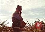 Image of Soldier standing guard at sandbagged post Honolulu Hawaii USA, 1942, second 55 stock footage video 65675063477