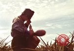 Image of Soldier standing guard at sandbagged post Honolulu Hawaii USA, 1942, second 59 stock footage video 65675063477