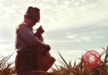 Image of Soldier standing guard at sandbagged post Honolulu Hawaii USA, 1942, second 60 stock footage video 65675063477