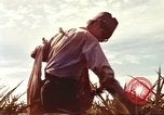 Image of Soldier standing guard at sandbagged post Honolulu Hawaii USA, 1942, second 62 stock footage video 65675063477
