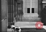 Image of Paris Peace Conference Versailles France, 1919, second 36 stock footage video 65675063515