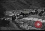 Image of Spanish Civil War soldiers Spain, 1936, second 23 stock footage video 65675063516