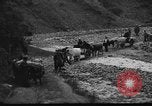 Image of Spanish Civil War soldiers Spain, 1936, second 25 stock footage video 65675063516