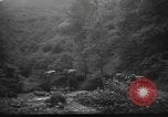 Image of Spanish Civil War soldiers Spain, 1936, second 27 stock footage video 65675063516