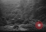 Image of Spanish Civil War soldiers Spain, 1936, second 28 stock footage video 65675063516