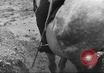 Standbild britische Kavallerie UK, 1936, aus Sekunde 27 historischem Filmmaterial Videoclip 65675063517