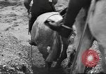 Standbild britische Kavallerie UK, 1936, aus Sekunde 28 historischem Filmmaterial Videoclip 65675063517