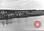 Standbild britische Kavallerie UK, 1936, aus Sekunde 55 historischem Filmmaterial Videoclip 65675063517