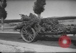 Immagine di Soldati spagnoli in guerra civile Somosierra Spagna, 1936, secondo 13 filmato di repertorio 65675063519