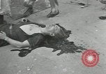 Image of French Red Cross members Paris France, 1944, second 57 stock footage video 65675063534