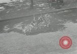 Immagine di Civili francese Parigi Francia, 1943, secondo 20 filmato di repertorio 65675063538