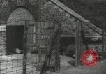 Image français Libération Paris France, 1944, de la seconde 4 séquences d'archives historiques vidéo 65675063544
